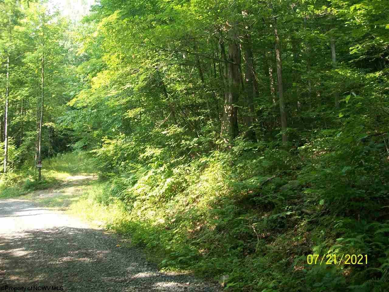 0 Dan Town Road Philippi, WV 26416 - Photo 5 of 9 Gallery Image 5