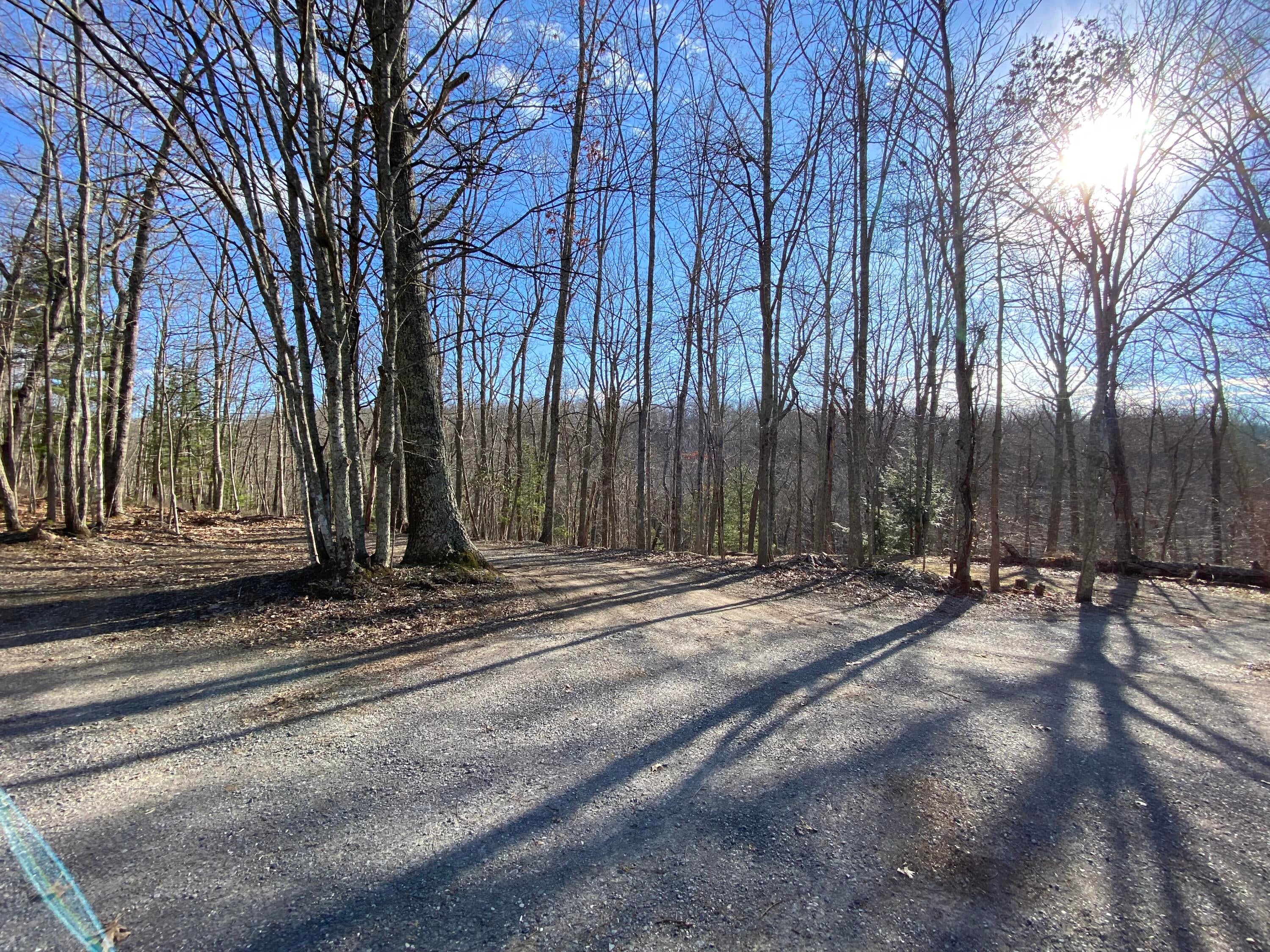 7373 Raders Valley Road Williamsburg, WV 24991 - Photo 63 of 68 Gallery Image 63