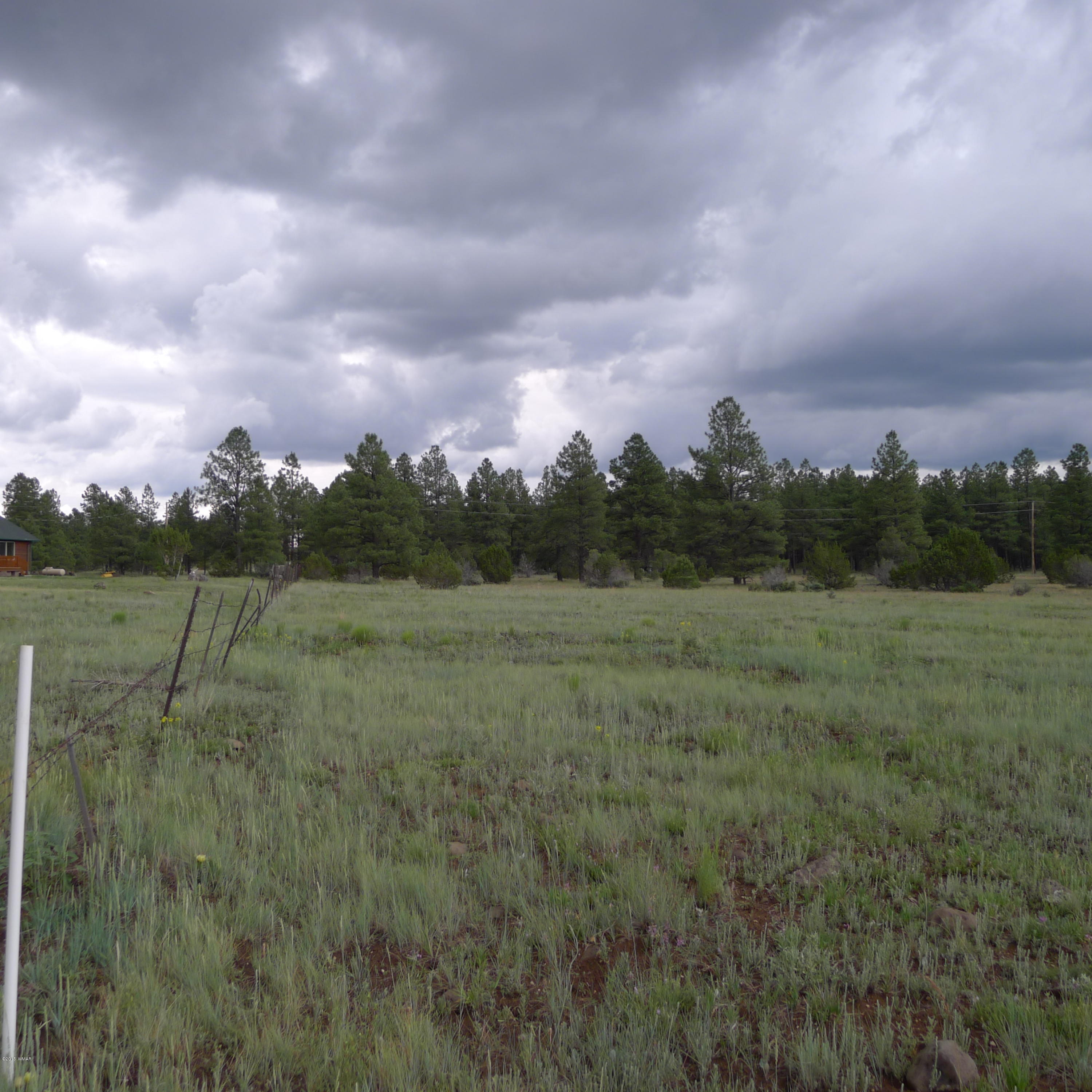 Lot D Thunderhorse Road Pinetop, AZ 85935 - Photo 2 of 7
