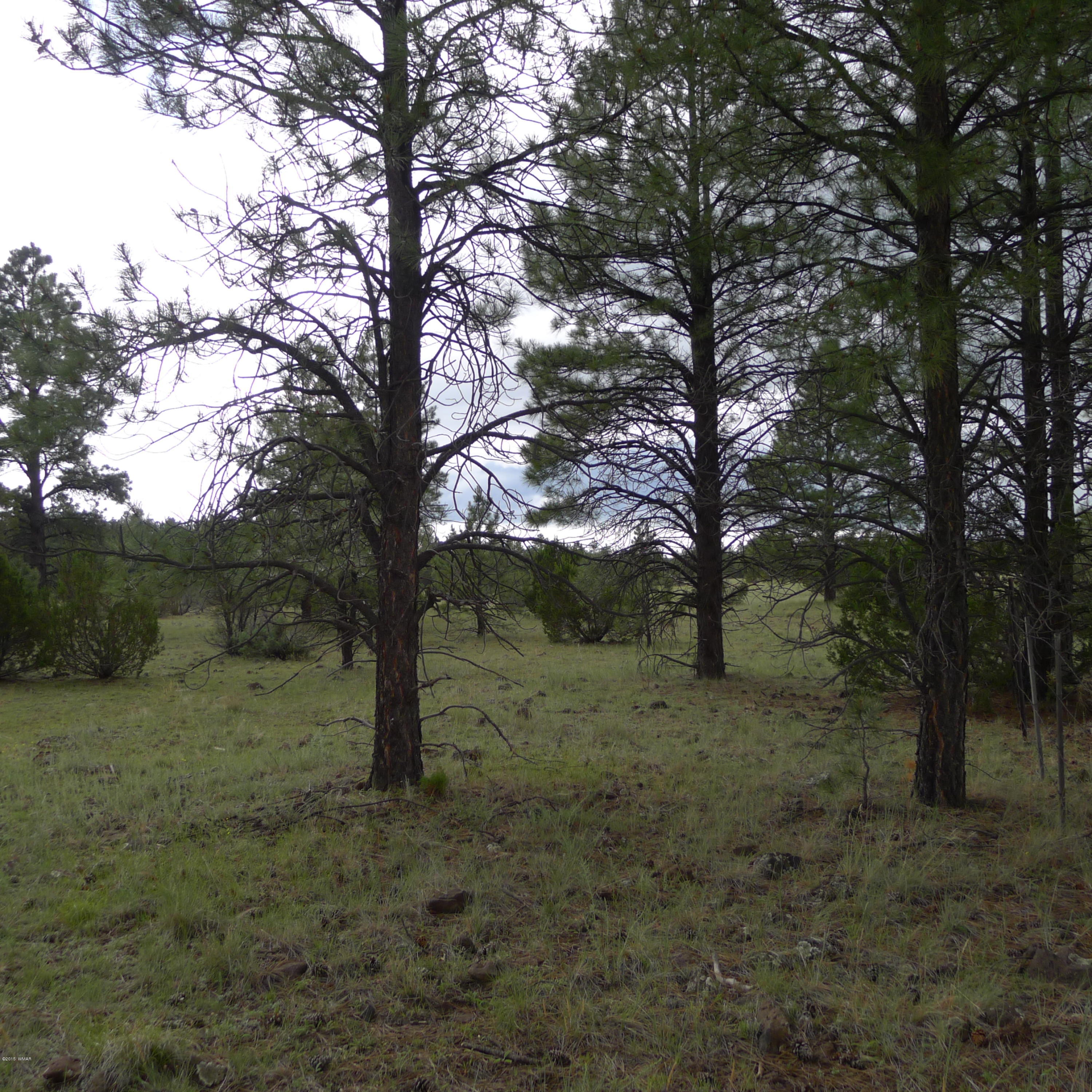 Lot D Thunderhorse Road Pinetop, AZ 85935 - Photo 3 of 7
