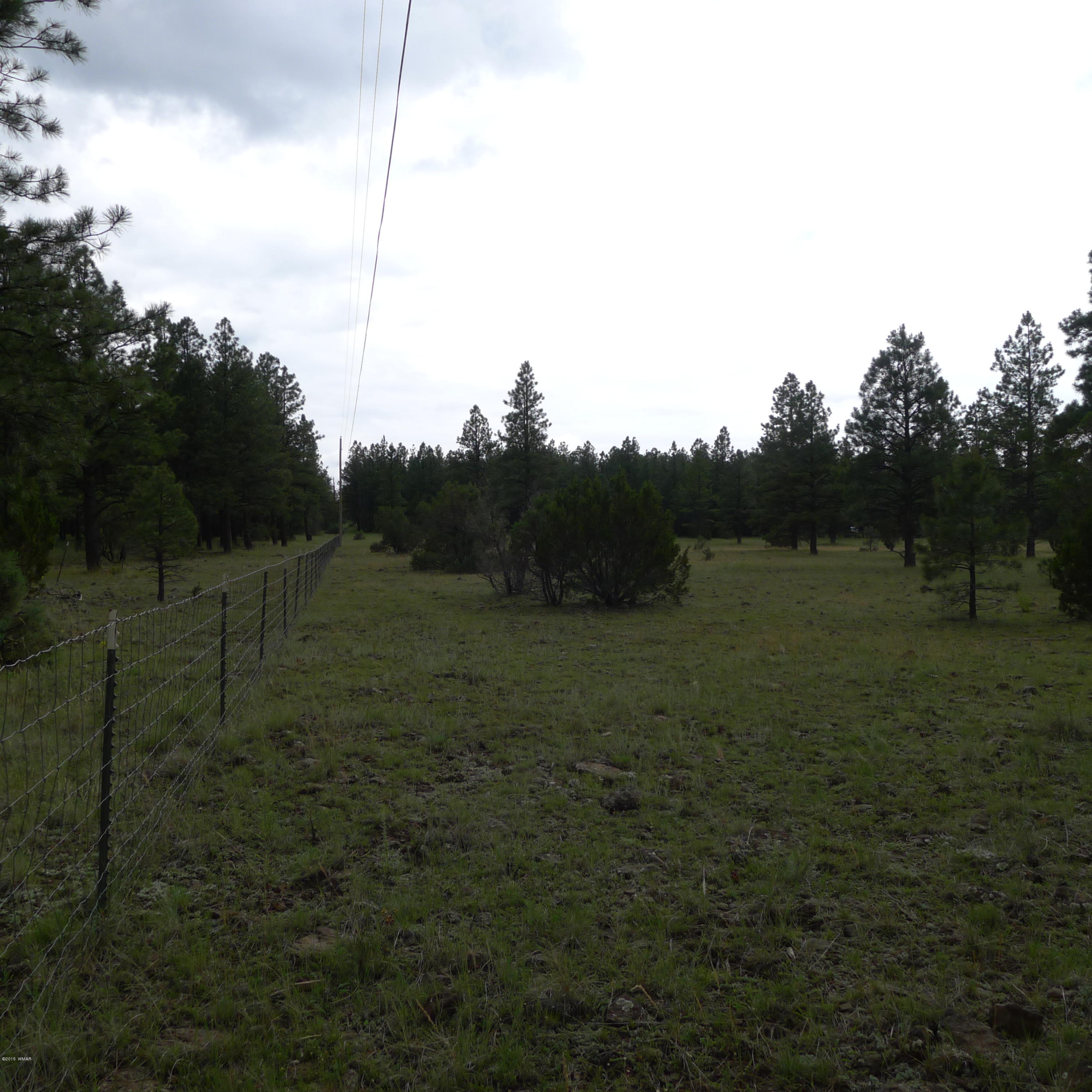 Lot D Thunderhorse Road Pinetop, AZ 85935 - Photo 4 of 7