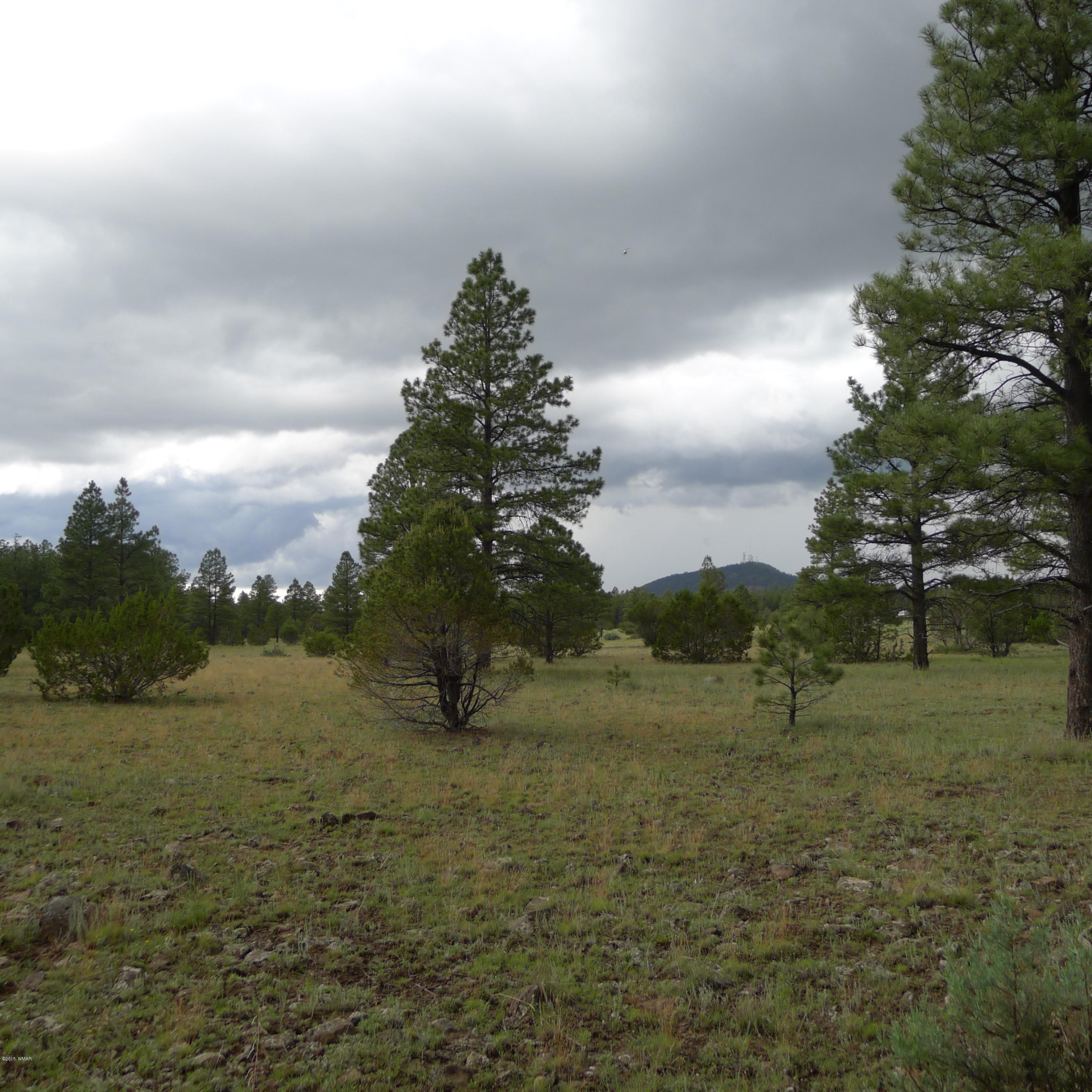 Lot D Thunderhorse Road Pinetop, AZ 85935 - Photo 5 of 7