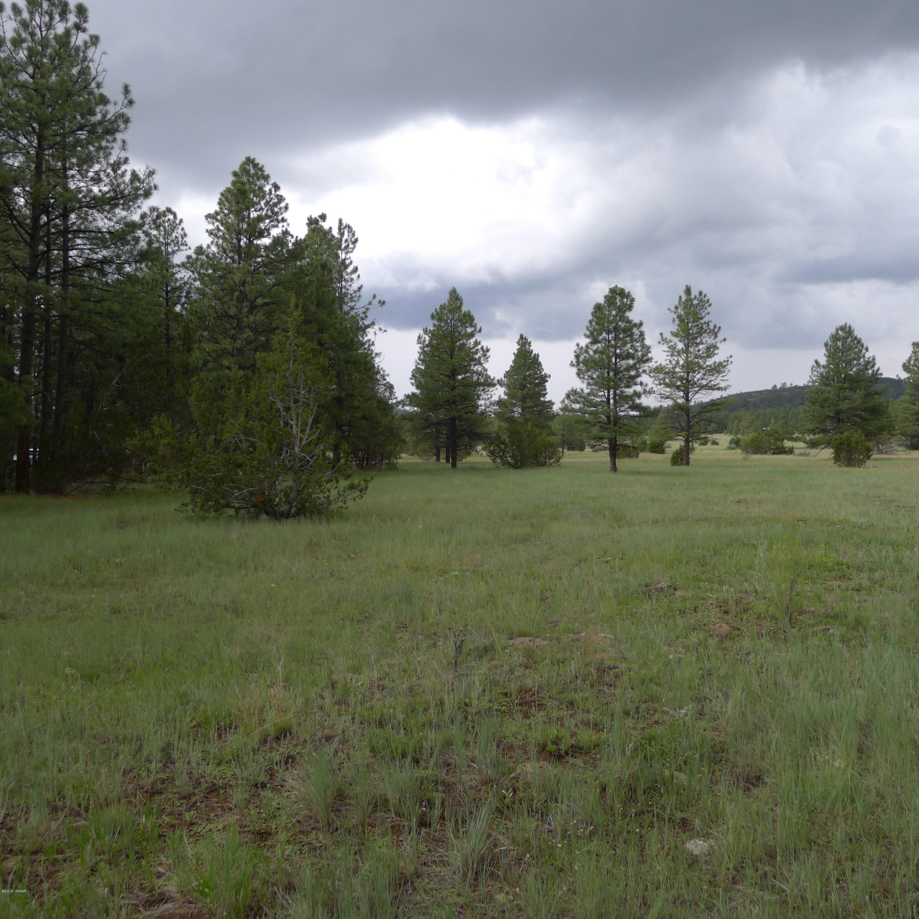 Lot D Thunderhorse Road Pinetop, AZ 85935 - Photo 6 of 7