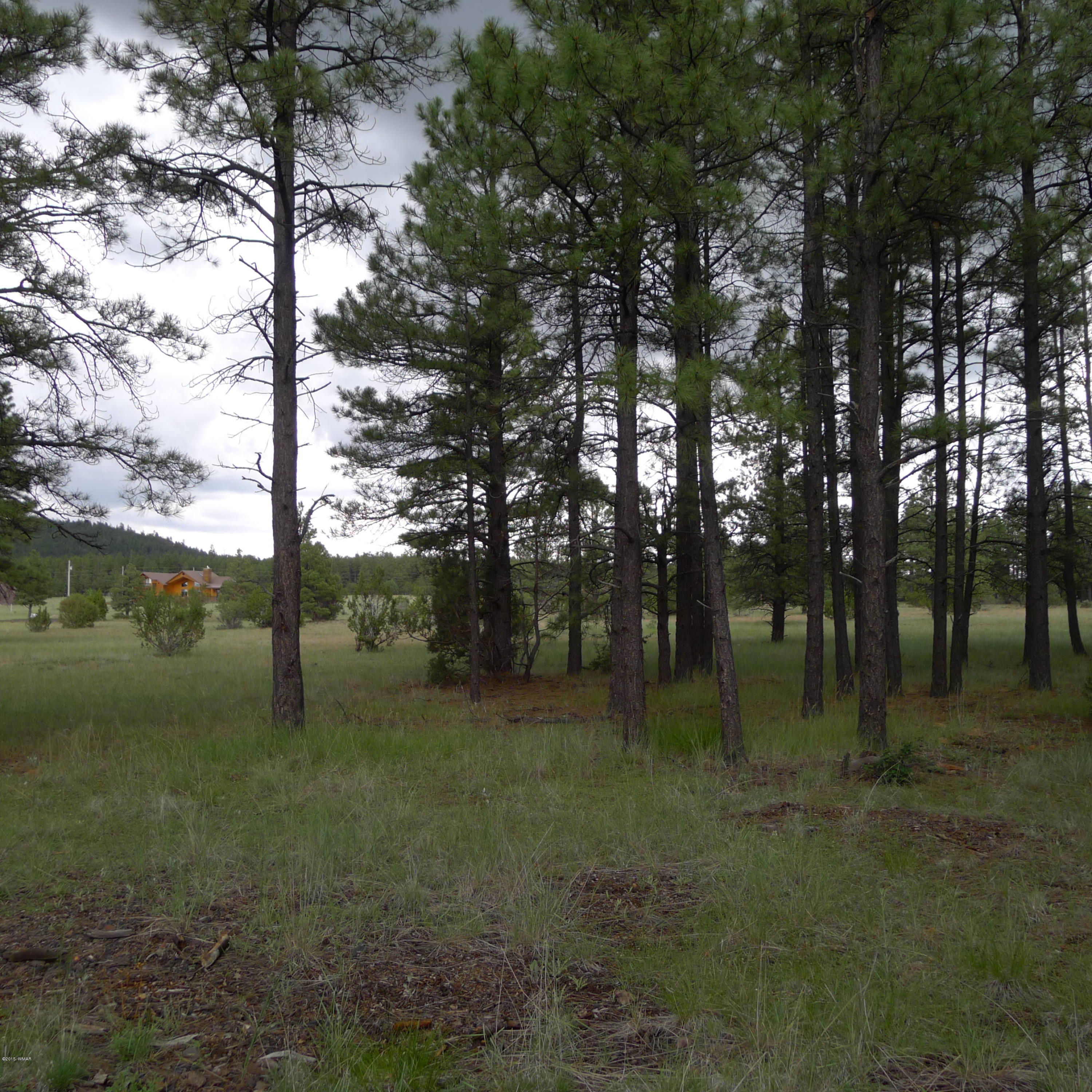 Lot D Thunderhorse Road Pinetop, AZ 85935 - Photo 7 of 7