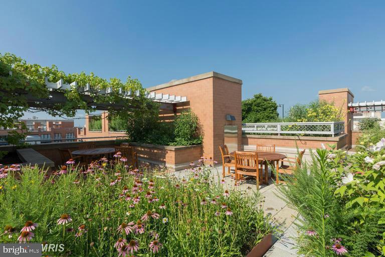 631 D Street Northwest, Unit 1038 Washington, DC 20004 - Photo 54 of 56 swimming pool view with a outdoor space