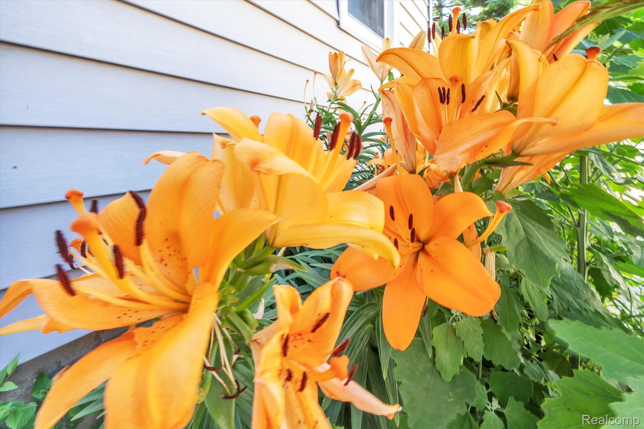 6620 Pelham Road Taylor, MI 48180 - Photo 27 of 33 Gallery Image 27