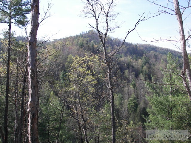 Peg's Branch Road Lenoir, NC 28645 - Photo 1 of 1 Gallery Image 1