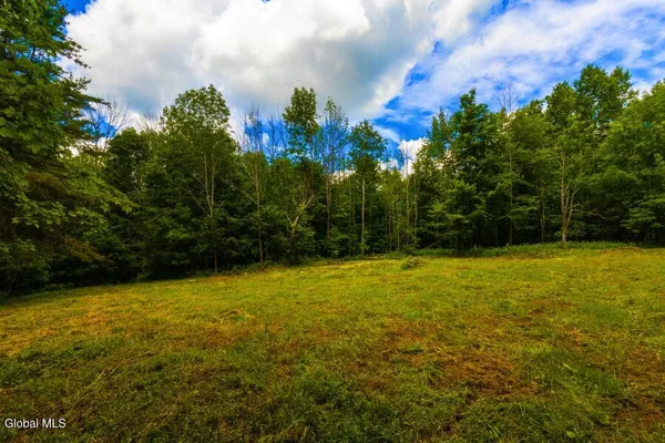 $54,900 | L4.111 Anderson Road, Middleburgh, NY 12122