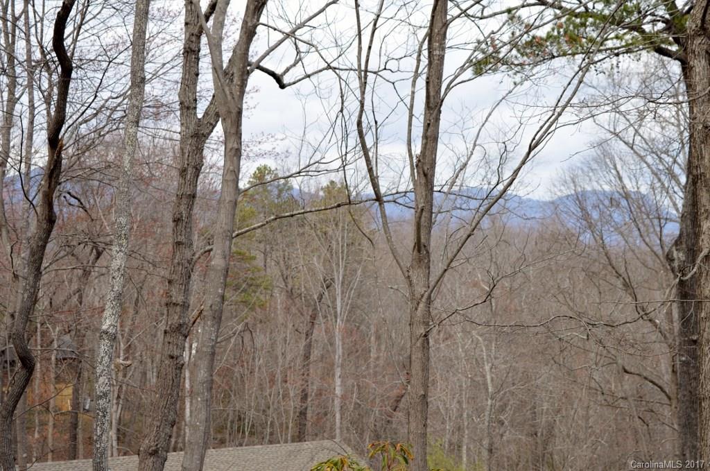 60 Paddock Lane, Unit 6 Tryon, NC 28782 - Photo 21 of 24