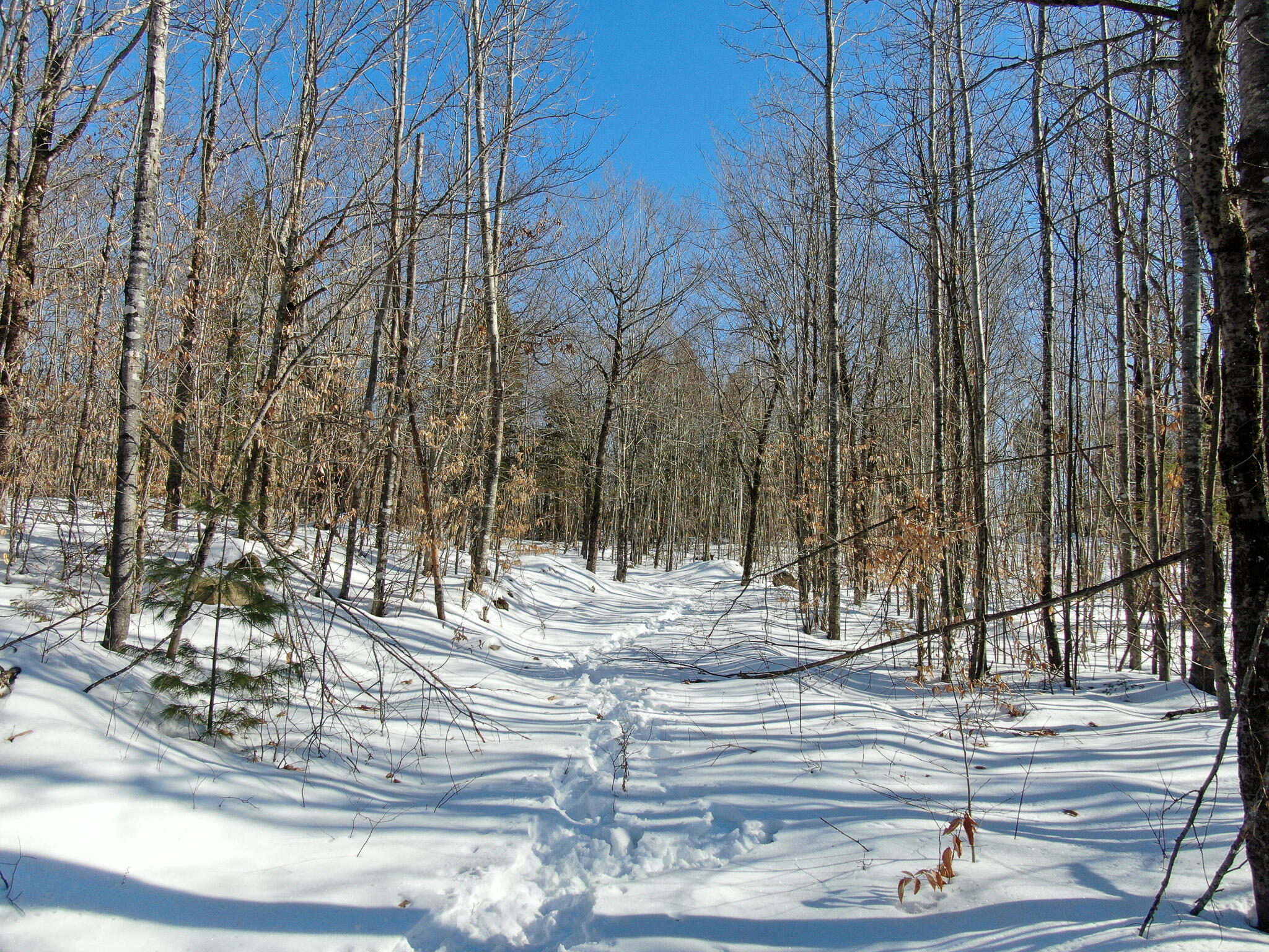 575 West Old Main Road Lowell, ME 04493 - Photo 7 of 16 DJI_0108
