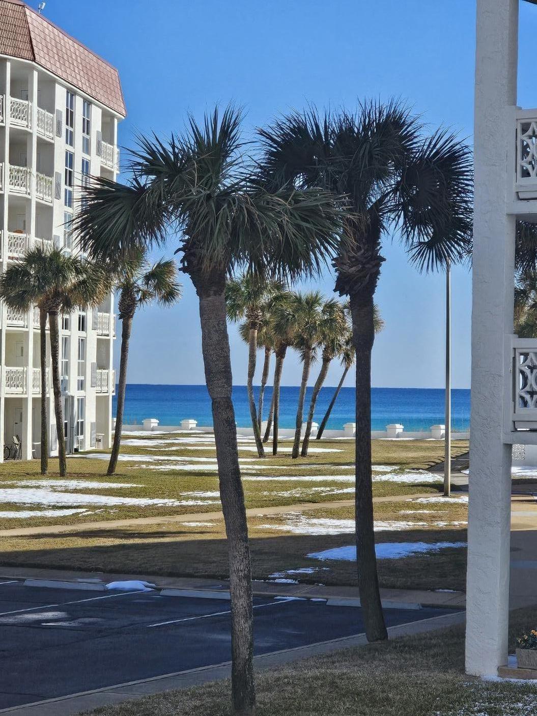 a view of ocean view with palm trees