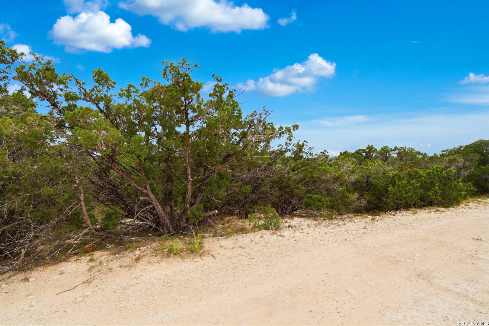 Lot 87 Golf Drive Spring Branch, TX 78070 - Photo 4 of 29