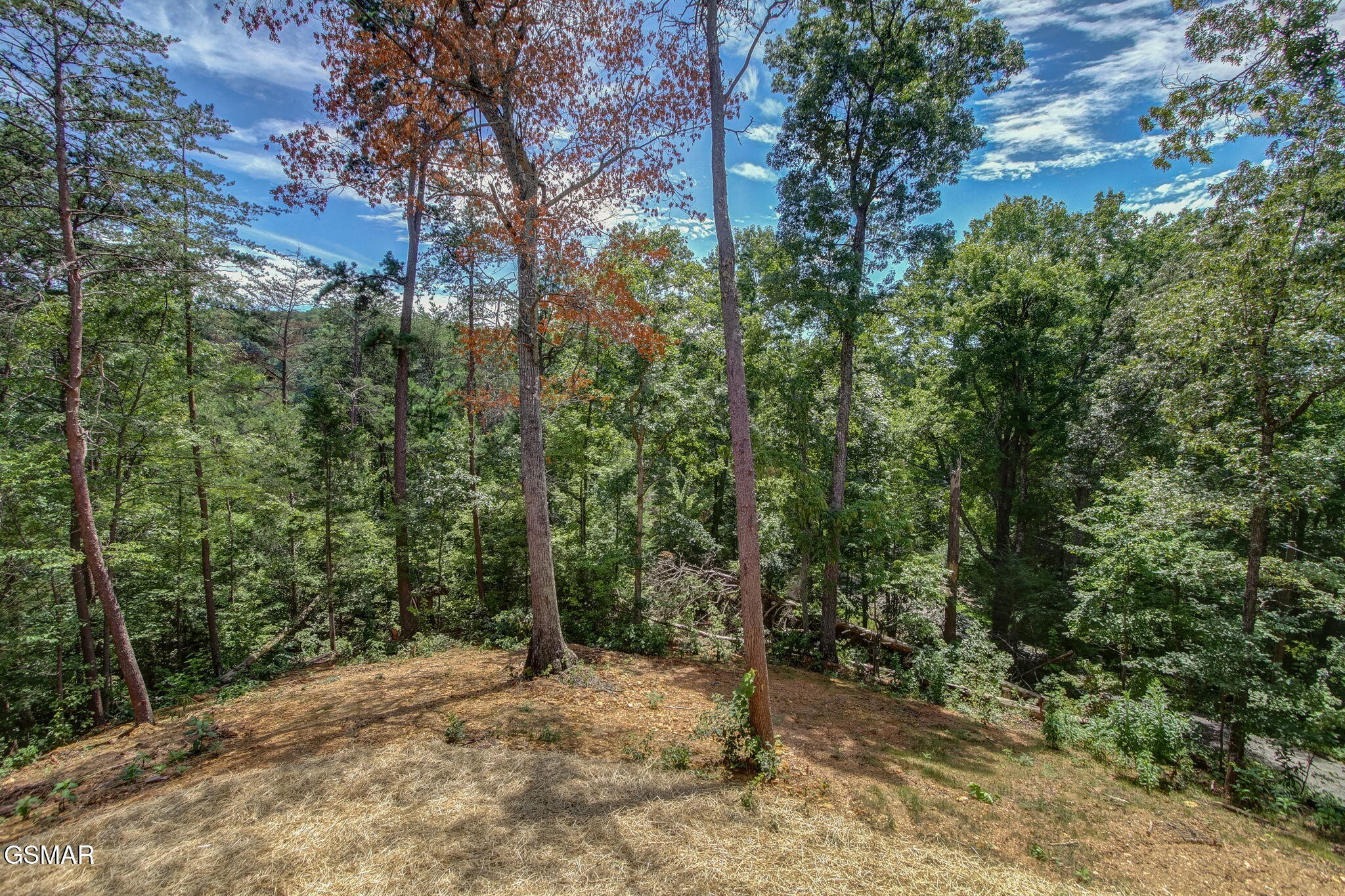 1756 Stinnett Road Sevierville, TN 37876 - Photo 45 of 53 Gallery Image 45