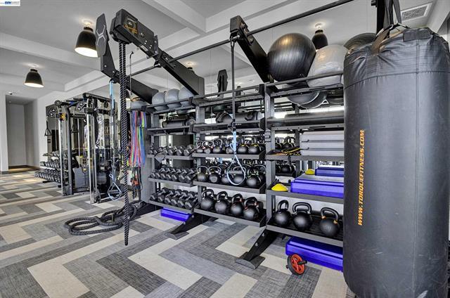 3698 Vision Common, Unit 221 Fremont, CA 94538 - Photo 53 of 62 a view of gym equipment