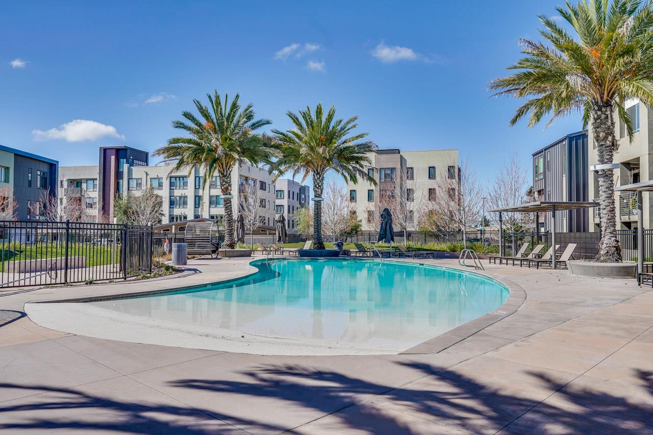3698 Vision Common, Unit 221 Fremont, CA 94538 - Photo 60 of 62 a view of a swimming pool with chairs