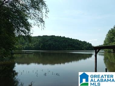 141 County Road 2010 Delta, AL 36258 - Photo 2 of 8
