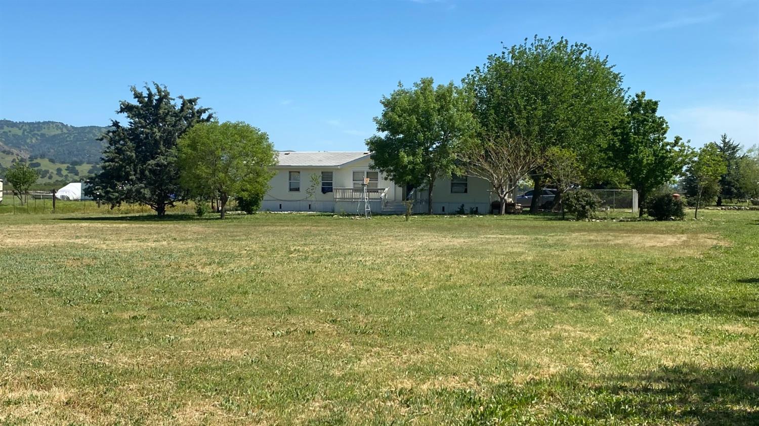 15891 County Road 45 Guinda, CA 95637 - Photo 1 of 8 a view of a large trees with a big yard