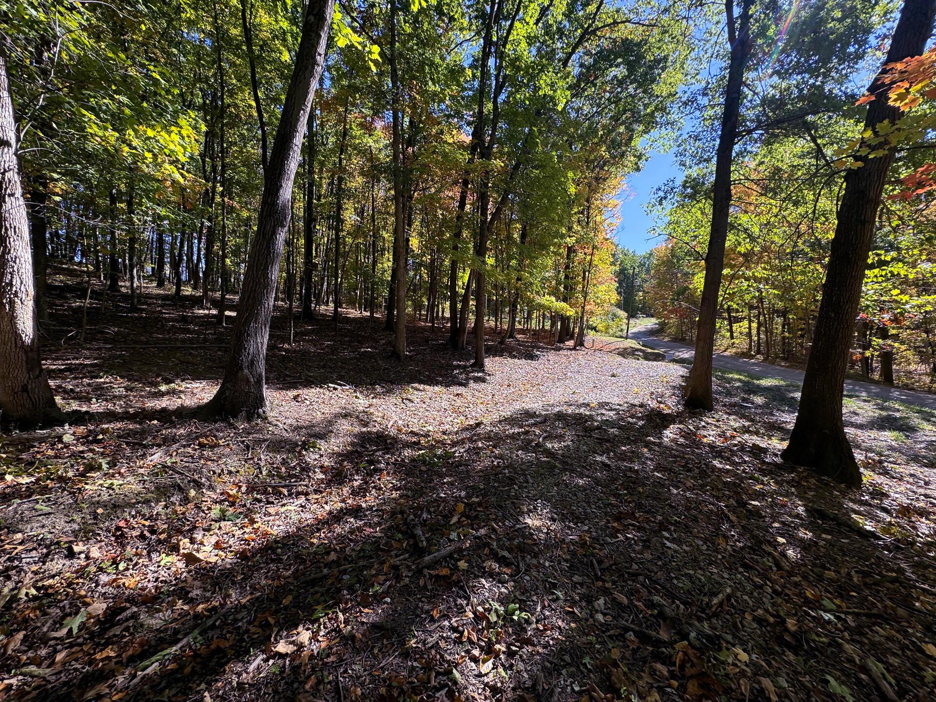 0 Easterday Road, Unit TRACT 8 AT EASTERDAY WOODS) Chillicothe, OH 45601 - Photo 19 of 24 CT-19