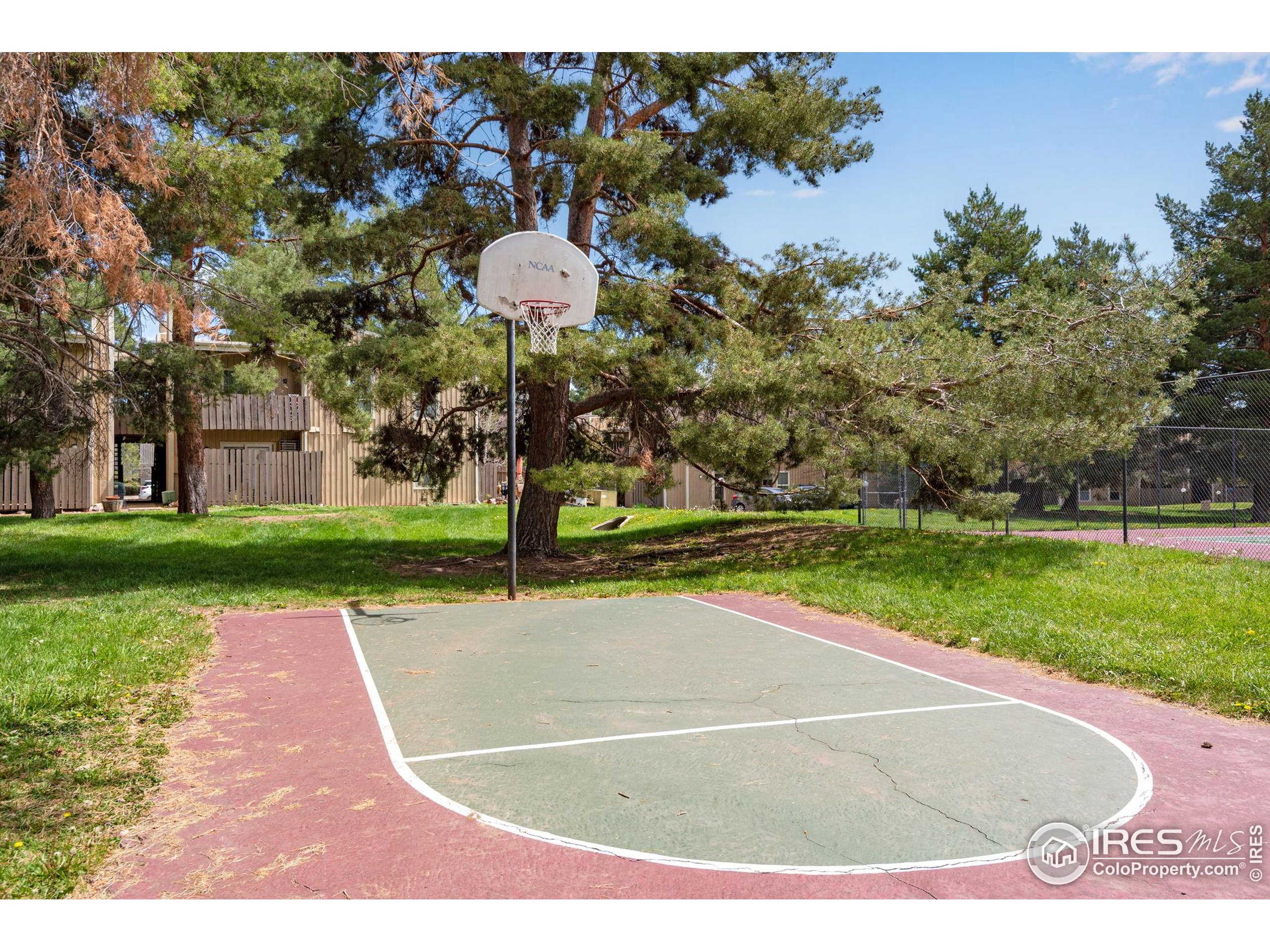 8050 Niwot Road, Unit 40 Niwot, CO 80503 - Photo 35 of 36