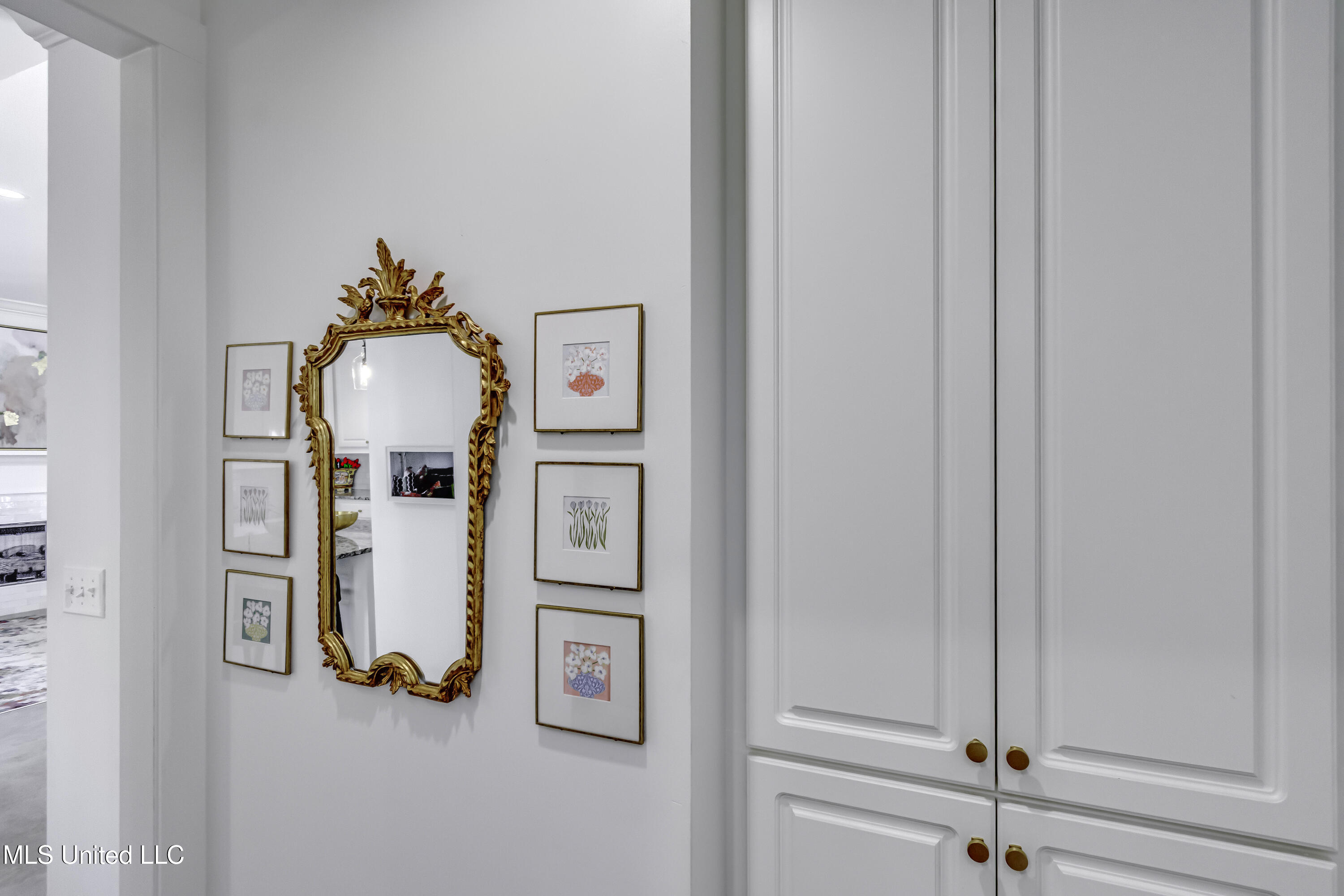 104 Leah Cove Canton, MS 39046 - Photo 24 of 63 Pantry on the right