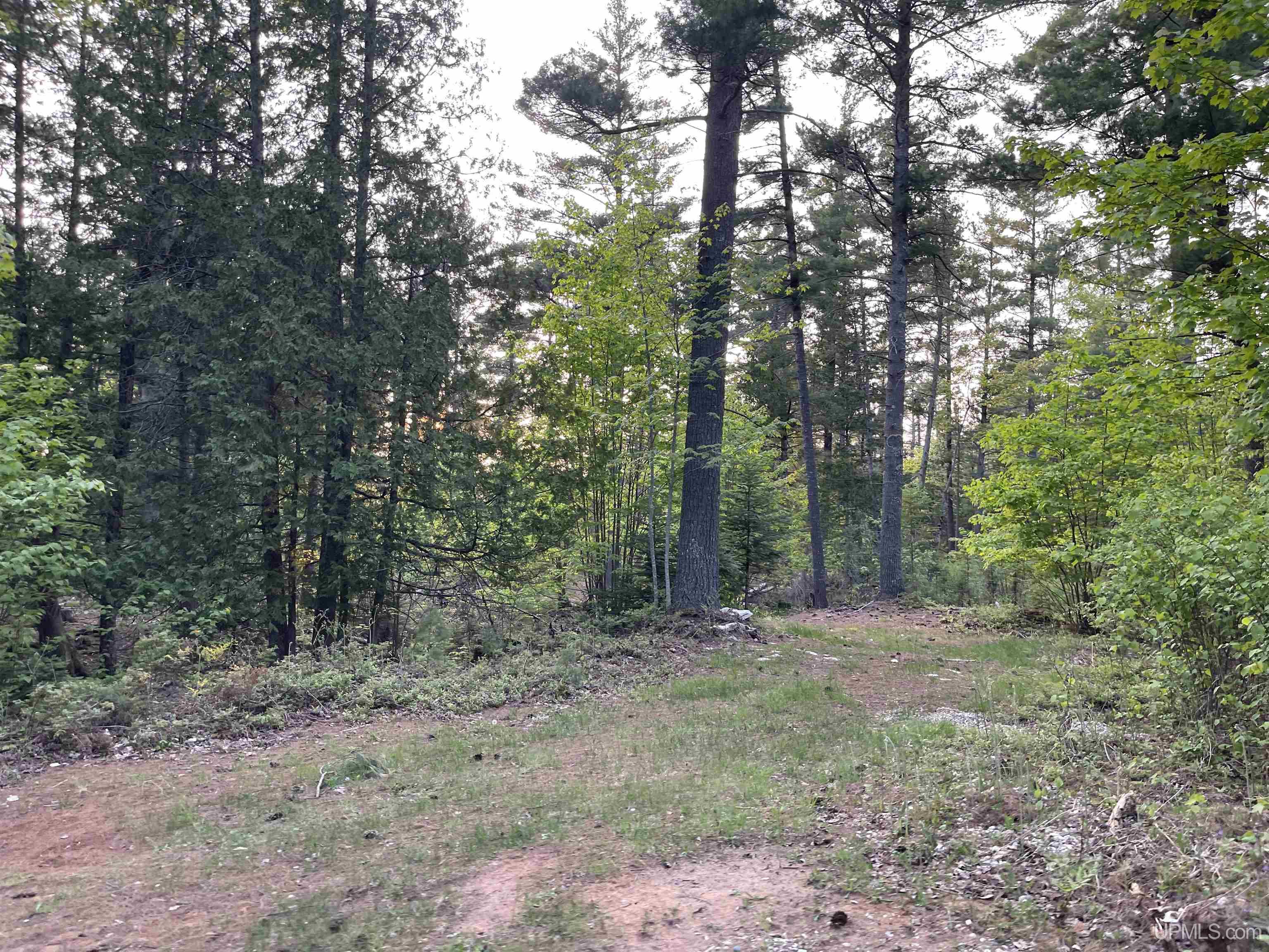 6627 West Co Road Manistique, MI 49854 - Photo 21 of 33