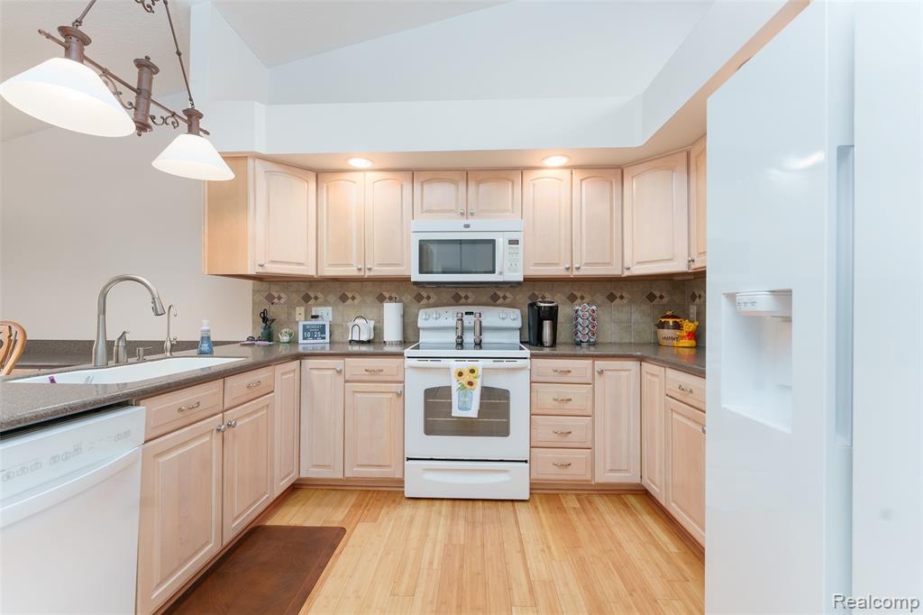 159 Addison Circle Fowlerville, MI 48836 - Photo 8 of 41