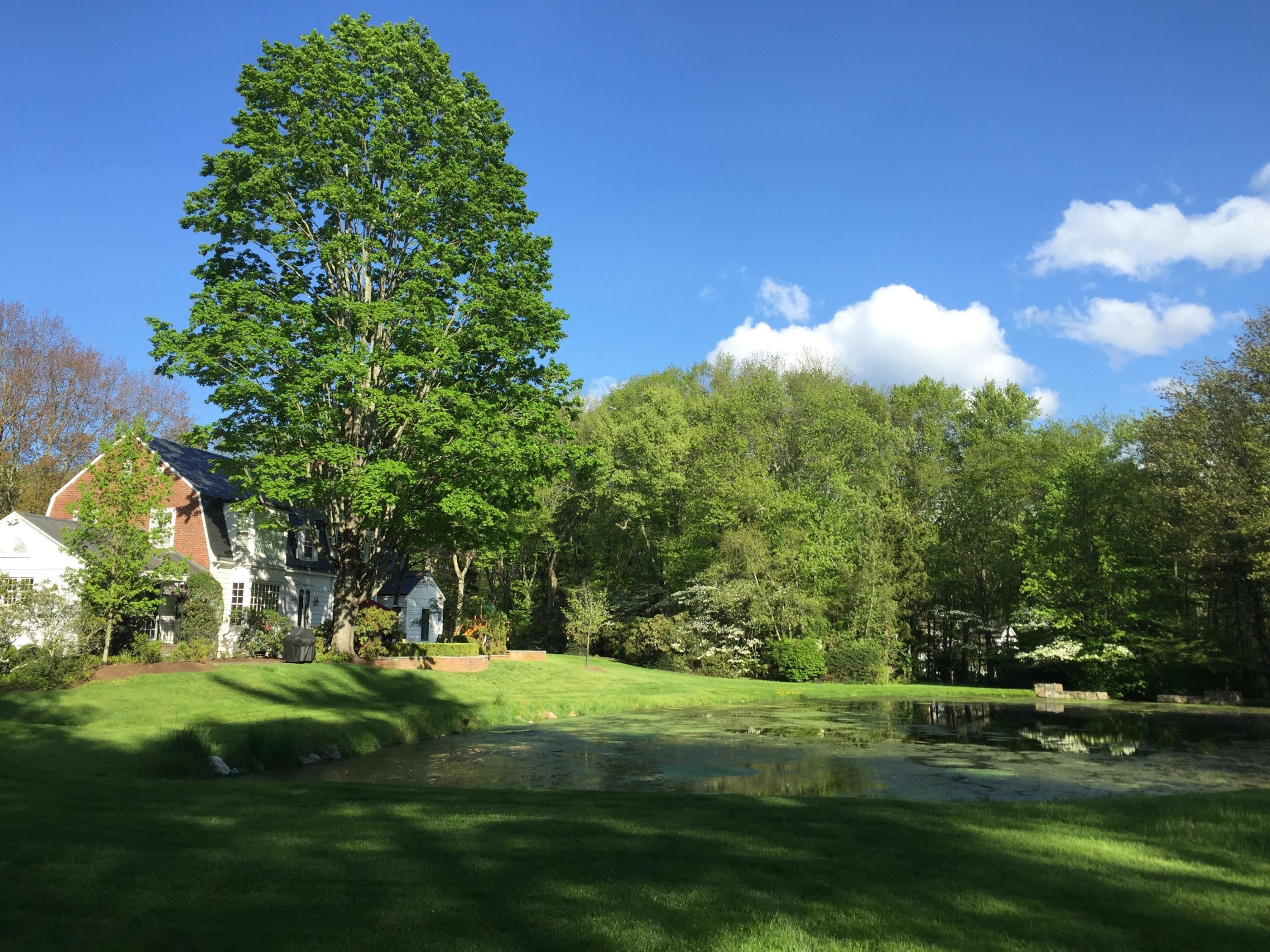 95 Half Mile Road Darien, CT 06820 - Photo 2 of 36 a view of a park