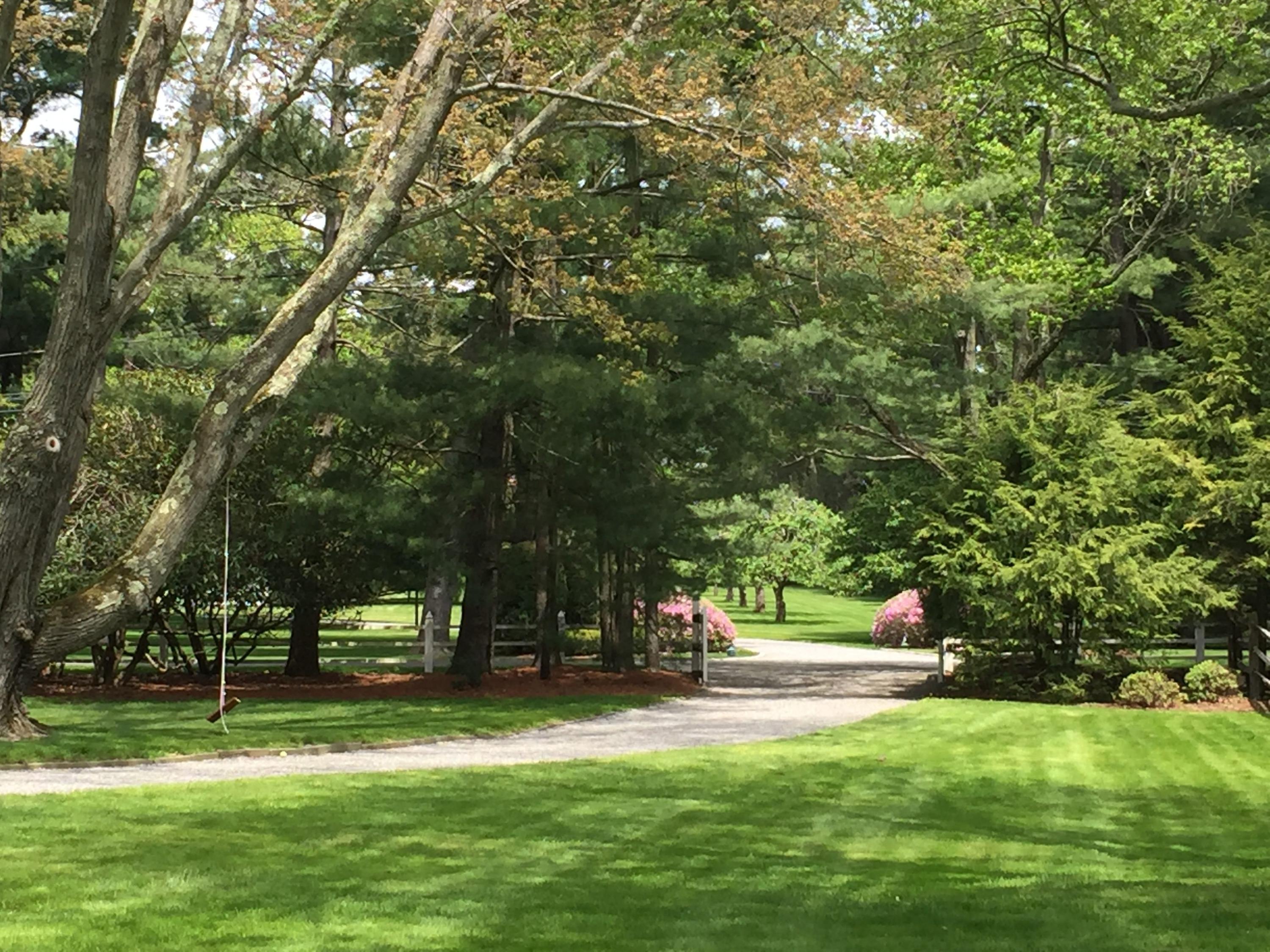 95 Half Mile Road Darien, CT 06820 - Photo 30 of 36 a view of park with trees