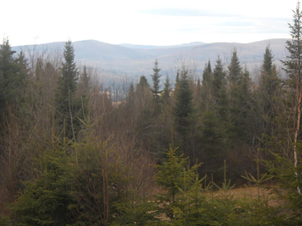 48 Granite Road Stewartstown, NH 03576 - Photo 2 of 11