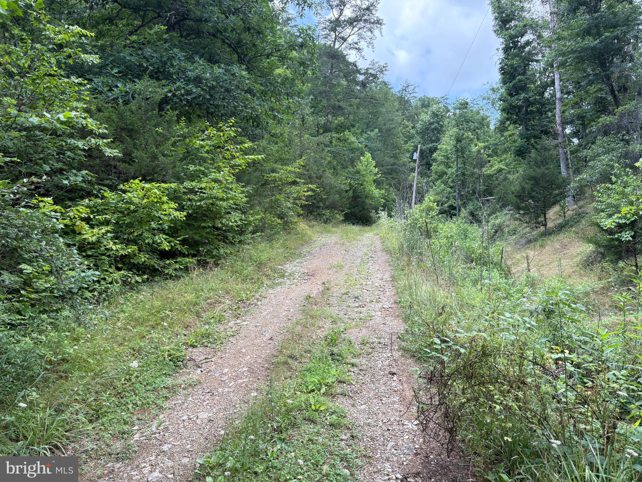 7313 Little Cacapon Road Romney, WV 26757 - Photo 5 of 18