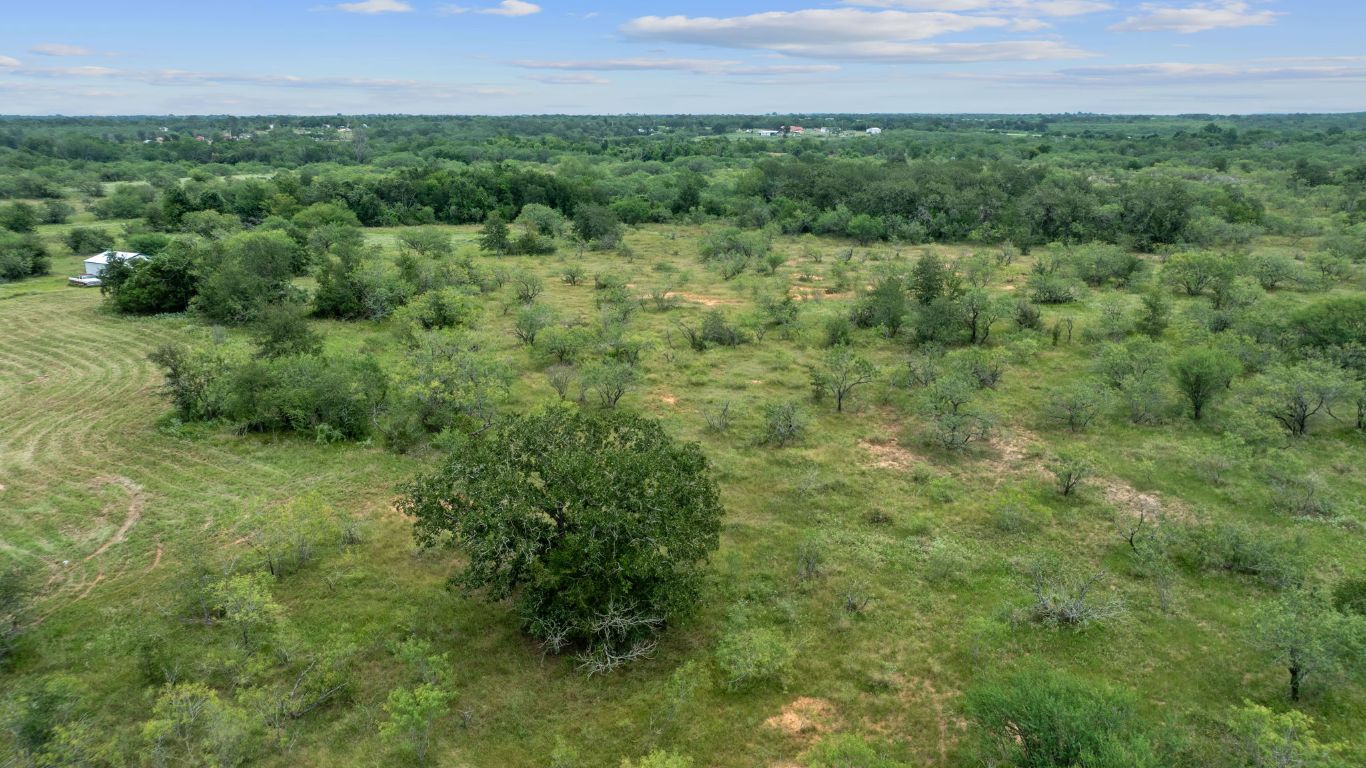 3597 Baker Road Kingsbury, TX 78638 - Photo 11 of 39 a view of a field of grass and trees