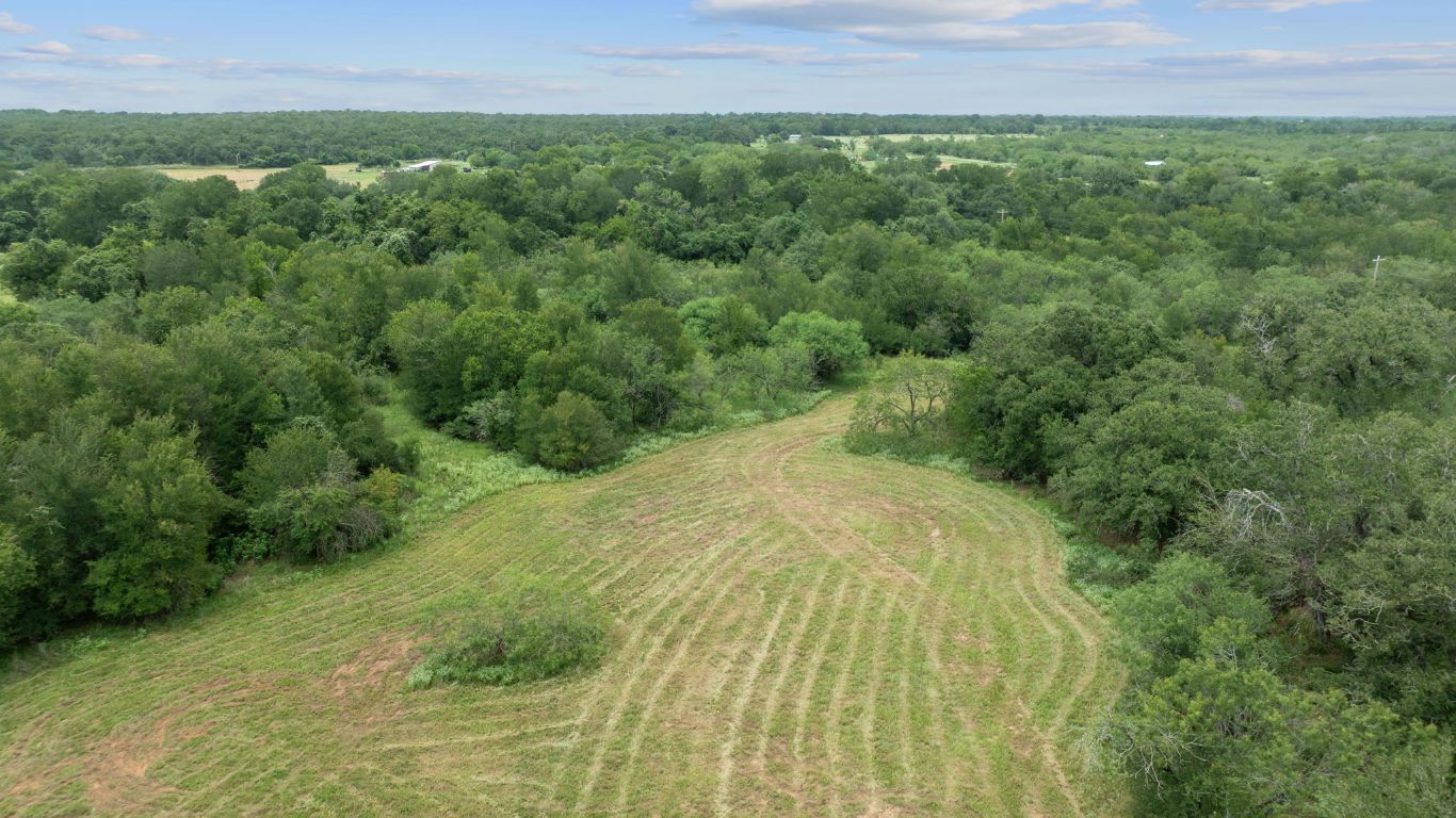 3597 Baker Road Kingsbury, TX 78638 - Photo 12 of 39 a view of a yard