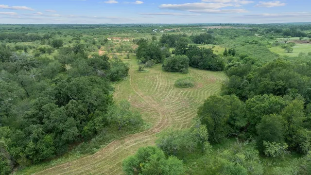 an aerial view of residential houses with outdoor and green space