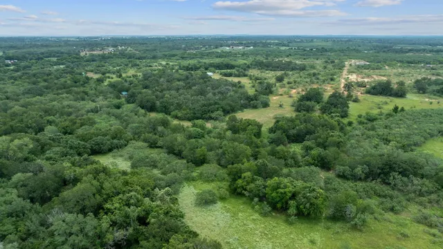 an aerial view of residential houses with outdoor space and trees