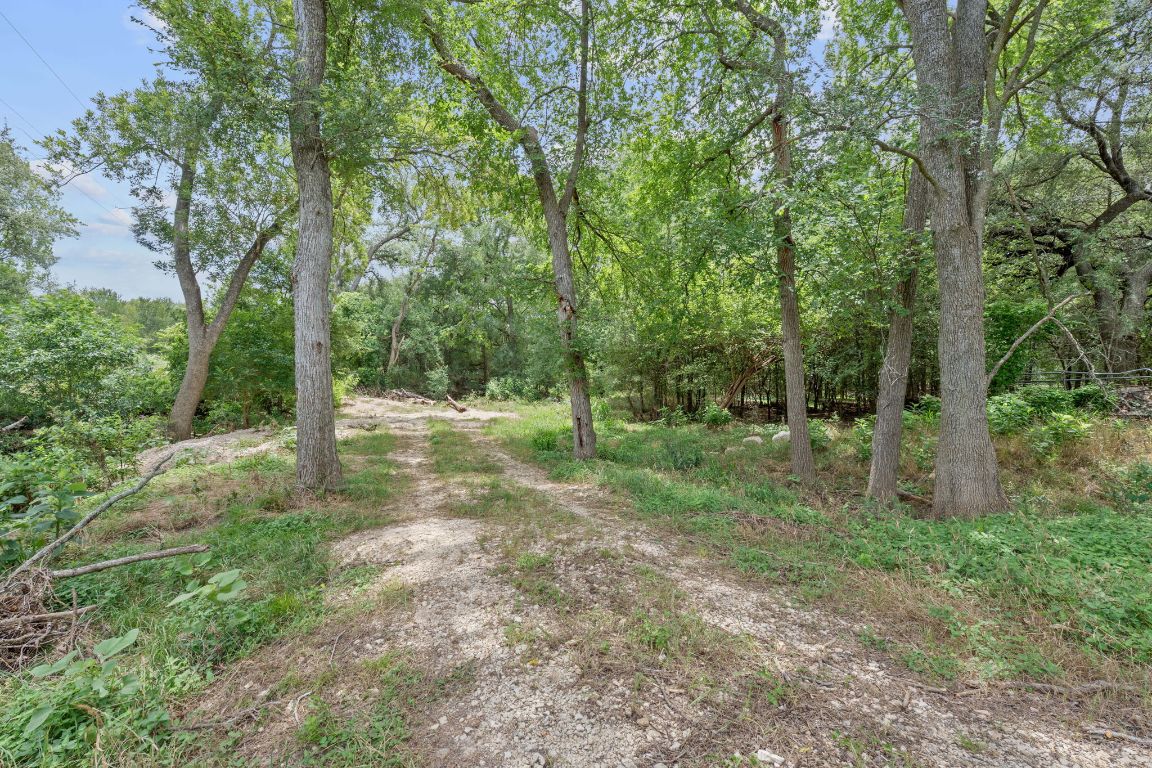 3597 Baker Road Kingsbury, TX 78638 - Photo 19 of 39 a view of a forest with trees in the background