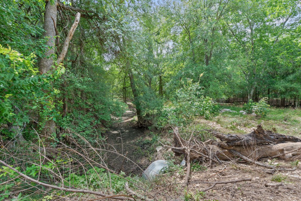 3597 Baker Road Kingsbury, TX 78638 - Photo 20 of 39 a view of a yard
