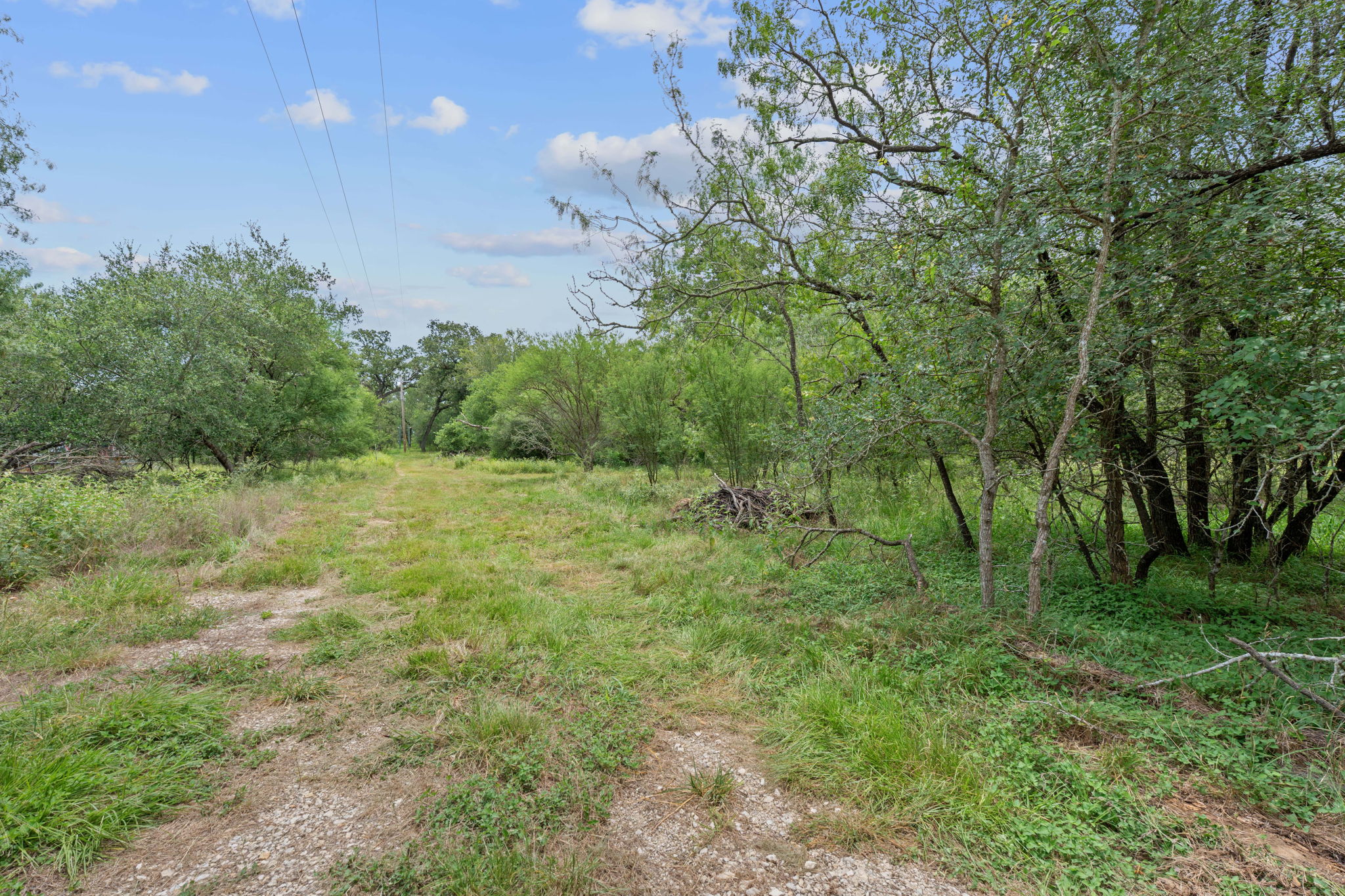 3597 Baker Road Kingsbury, TX 78638 - Photo 21 of 39 a big yard with lots of green space and deers