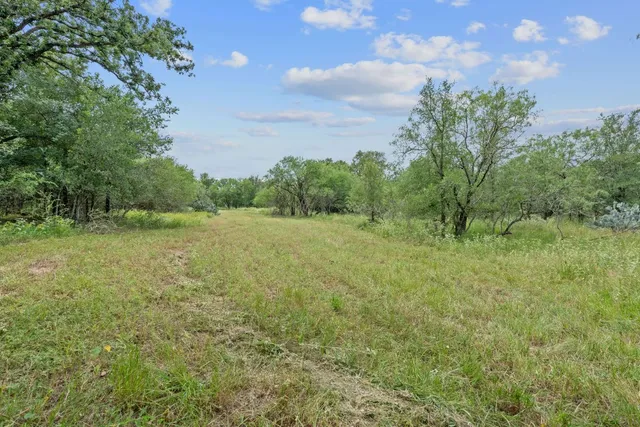 a view of a field with trees in the background
