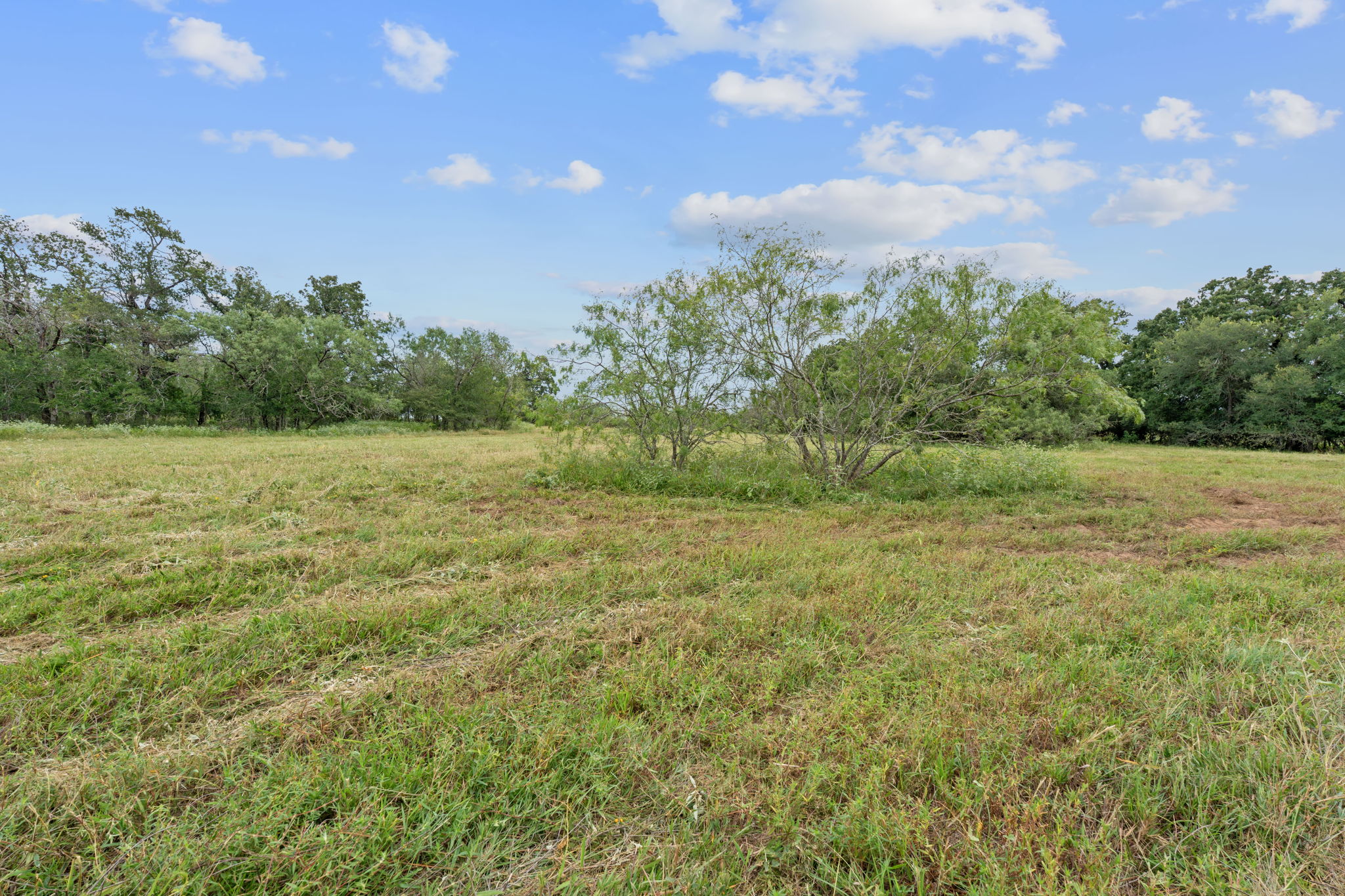 3597 Baker Road Kingsbury, TX 78638 - Photo 26 of 39 a view of outdoor space with trees all around