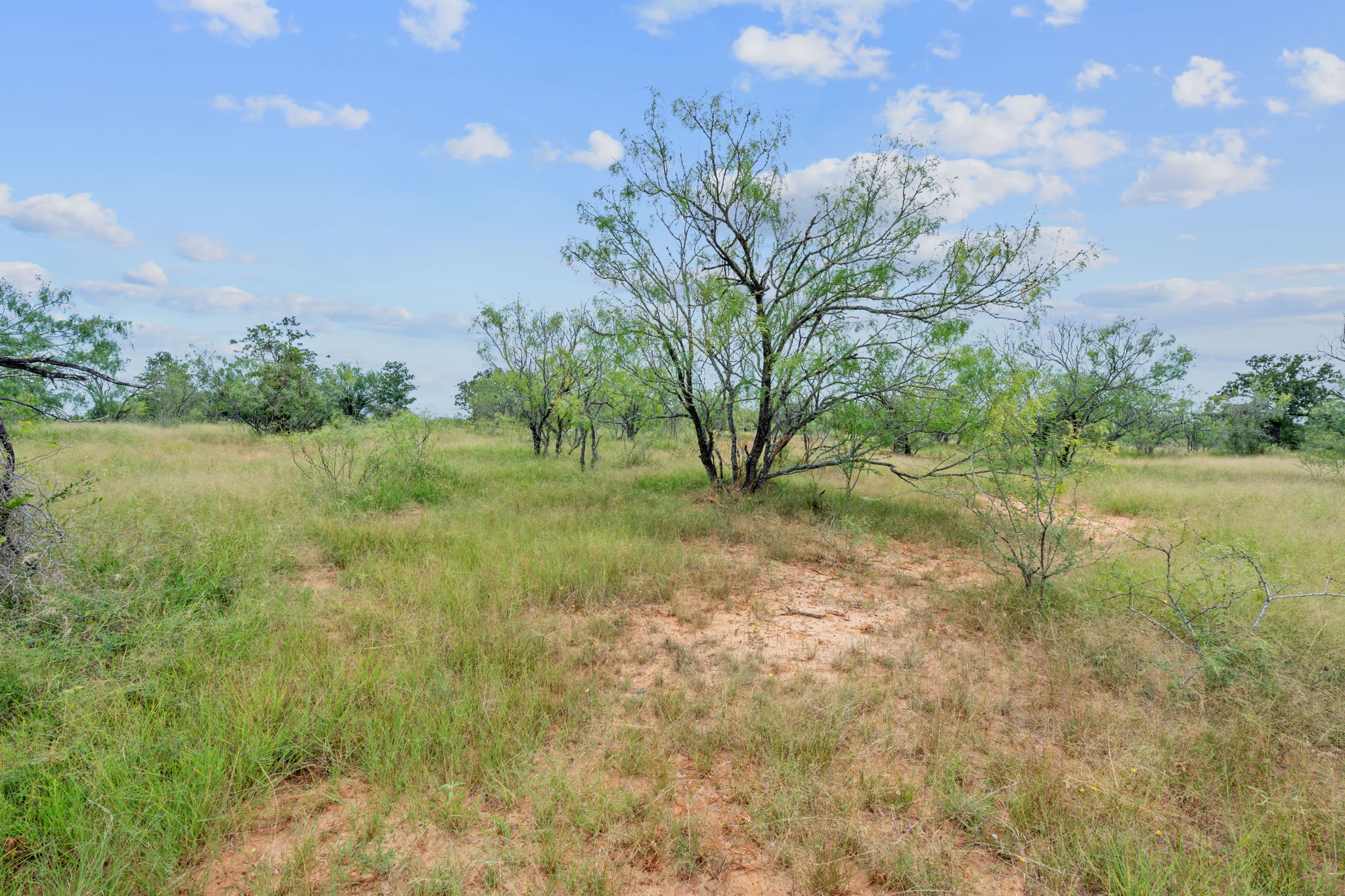 3597 Baker Road Kingsbury, TX 78638 - Photo 30 of 39 a view of a yard with an trees