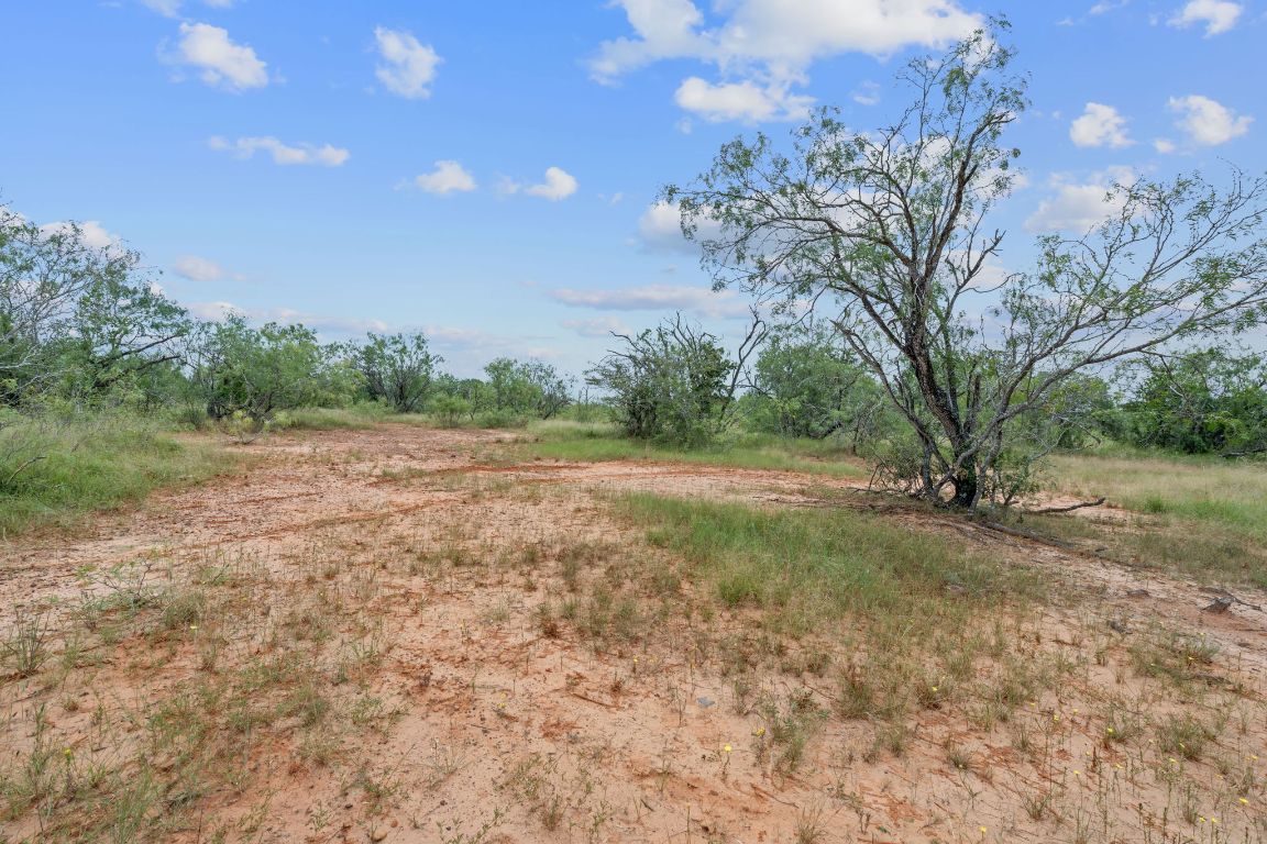 3597 Baker Road Kingsbury, TX 78638 - Photo 31 of 39 a view of a field with trees