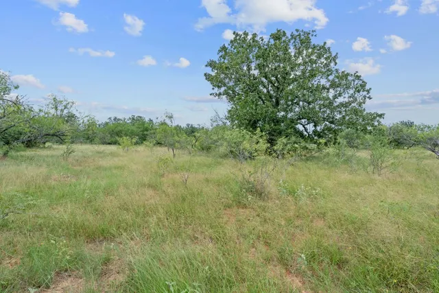 a view of a green field with trees in the background