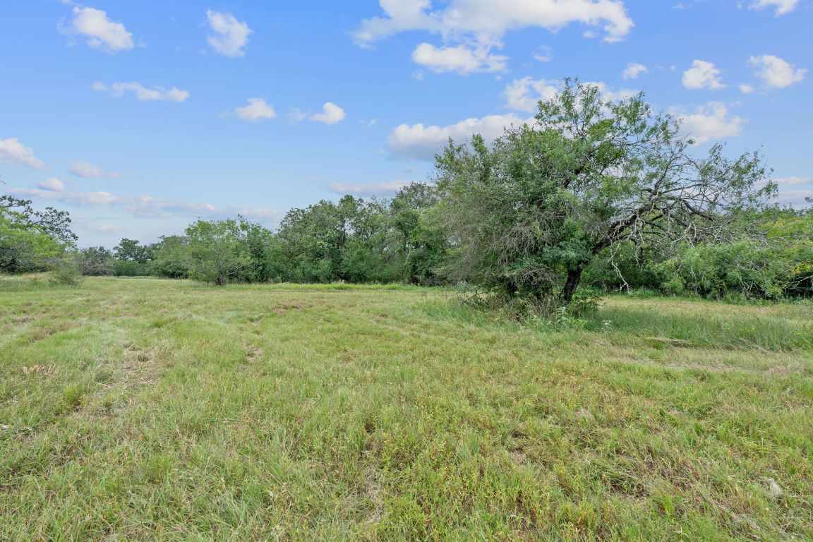 3597 Baker Road Kingsbury, TX 78638 - Photo 33 of 39 a view of a green field with trees in the background