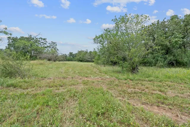a big yard with lots of green space and deers