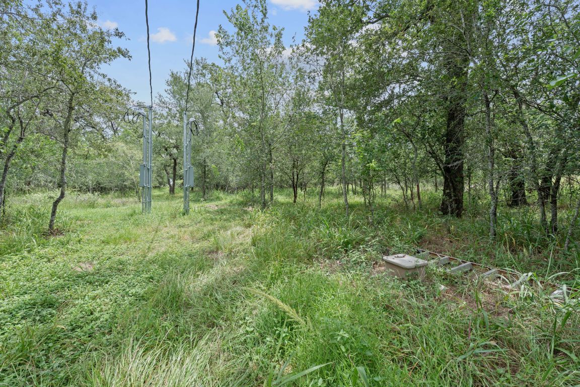 3597 Baker Road Kingsbury, TX 78638 - Photo 36 of 39 a big yard with lots of green space and deers