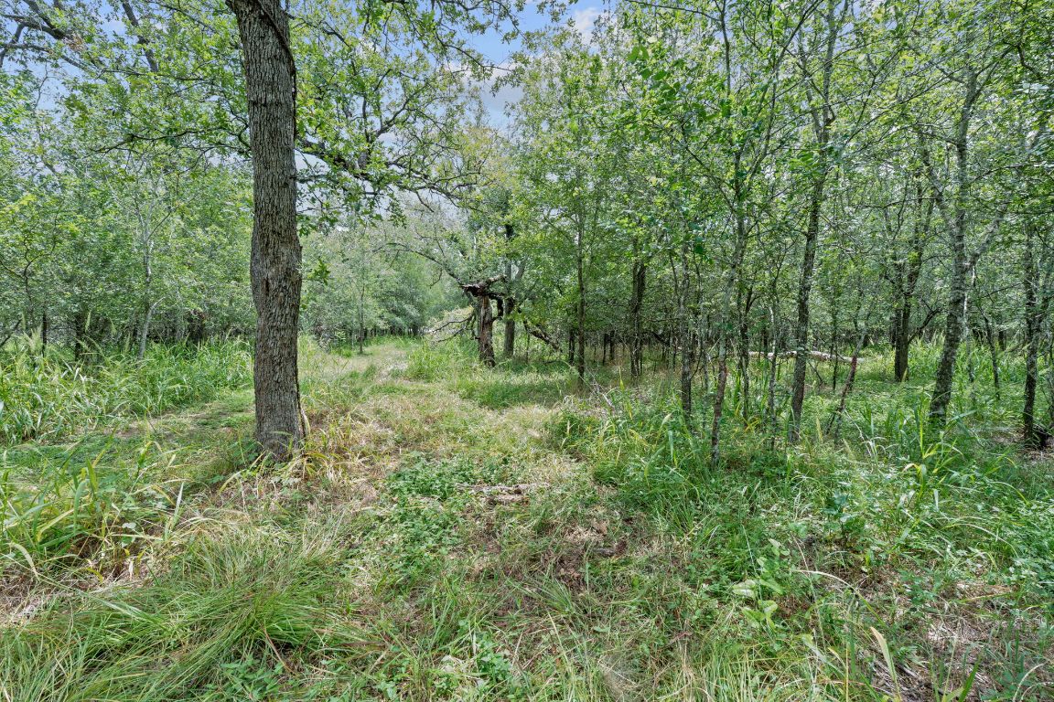 3597 Baker Road Kingsbury, TX 78638 - Photo 37 of 39 a view of a green field with lots of bushes