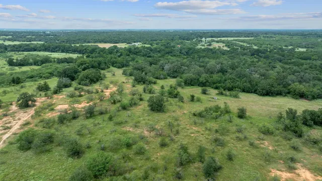 a view of a green field with lots of bushes
