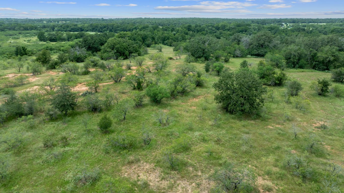 3597 Baker Road Kingsbury, TX 78638 - Photo 7 of 39 a view of a big yard with large trees