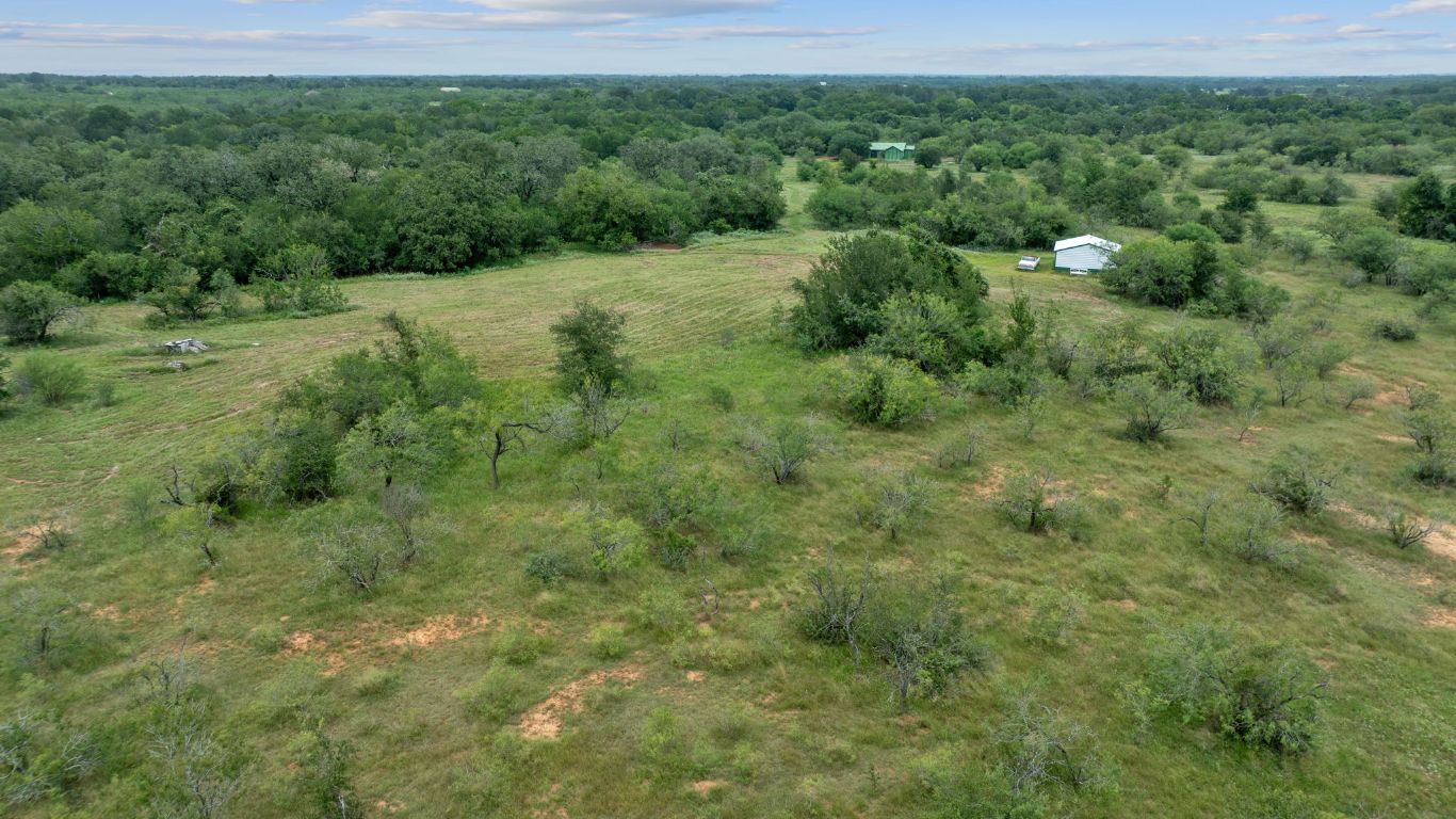 3597 Baker Road Kingsbury, TX 78638 - Photo 8 of 39 a view of a lush green forest with trees and houses