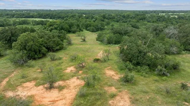 a view of a lush green forest with lots of trees